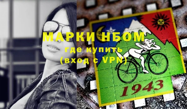 индика Алексин
