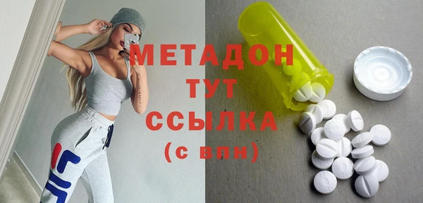 индика Алексин