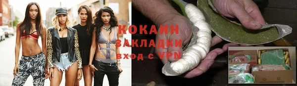 индика Алексин