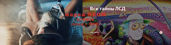 не бодяженный Алзамай