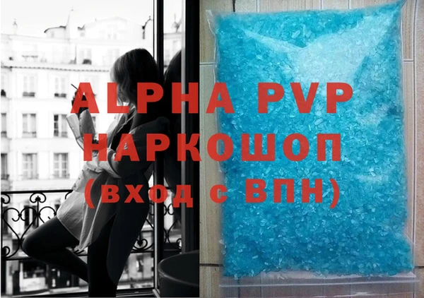 индика Алексин