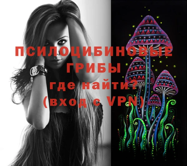 не бодяженный Алзамай