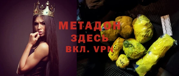 индика Алексин
