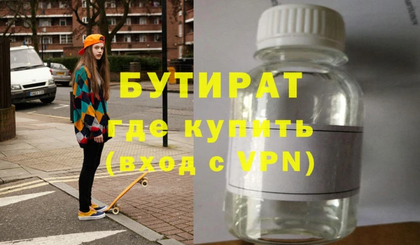 индика Алексин
