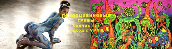 индика Алексин