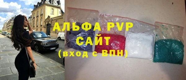 индика Алексин
