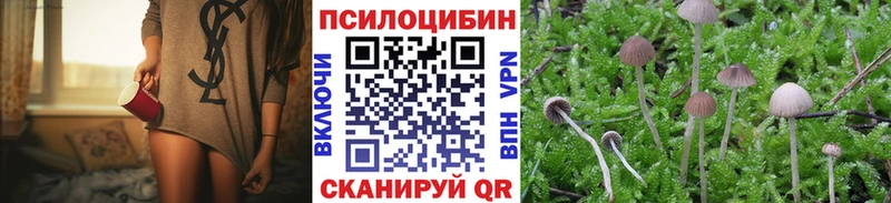 Псилоцибиновые грибы ЛСД  OMG зеркало  Октябрьский  наркота 