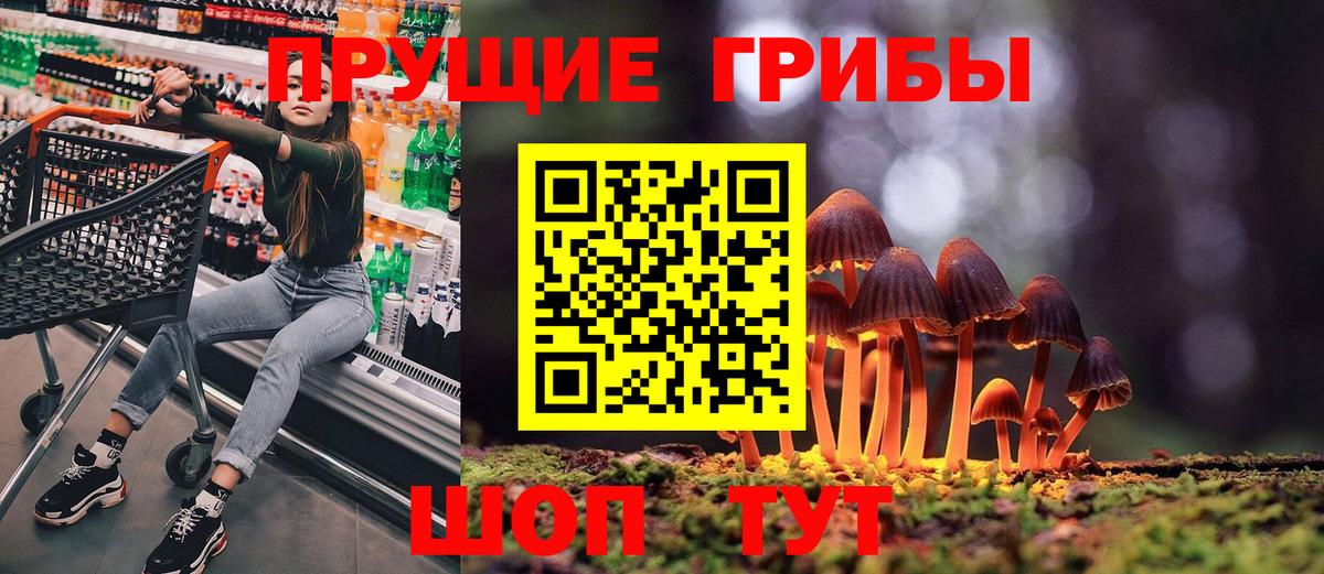 Галлюциногенные грибы прущие грибы  Галлюциногенные грибы прущие грибы  что такое   Вход с VPN  Октябрьский 